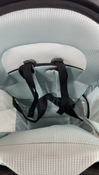 Shop Thule Sapling Child Carrier, Black at GoodBuy Gear
