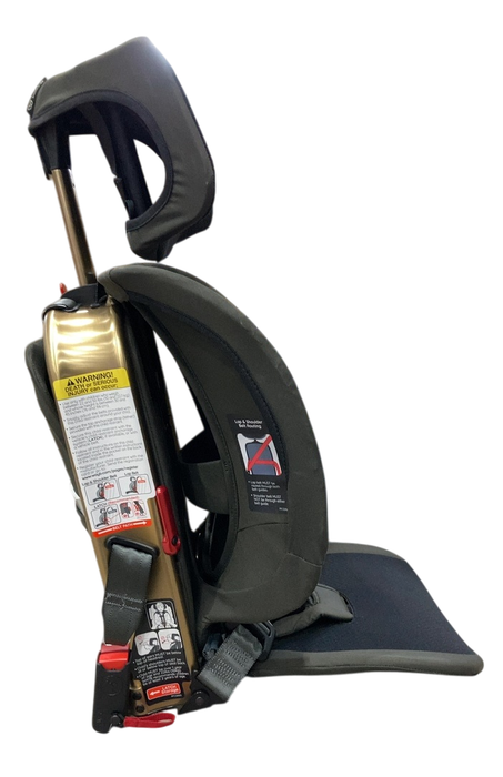 Shop WAYB Pico Portable Car Seat, 2023, Earth at GoodBuy Gear