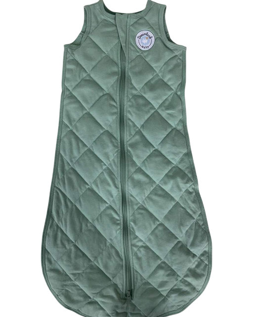 Shop Dreamland Weighted Sleep Sack, 6-12 Months, Sage Green at GoodBuy Gear