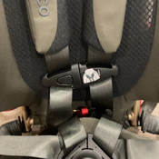 Shop WAYB Pico Portable Car Seat, 2023, Earth at GoodBuy Gear