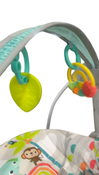 Shop Bright Starts Portable Swing, Playful Paradise at GoodBuy Gear