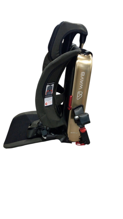 Shop WAYB Pico Portable Car Seat, 2022, Earth at GoodBuy Gear