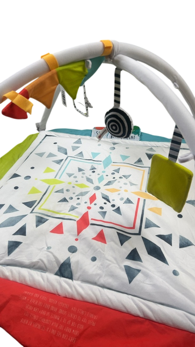 Shop Sassy Hello Baby Milestone Play Gym at GoodBuy Gear
