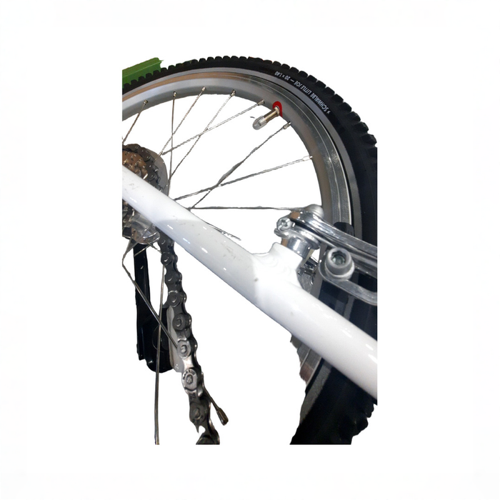 no bg image
