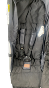 Shop Mountain Buggy Duet Double Stroller, 2024, Black at GoodBuy Gear