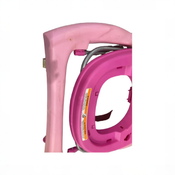 Shop Bright Starts Music And Lights Walker, Garden Delight Minnie at GoodBuy Gear