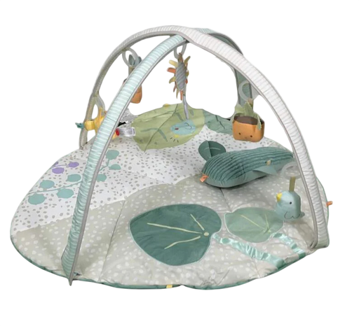 Shop Skip Hop Activity Gym Play Mat, Garden Oasis at GoodBuy Gear