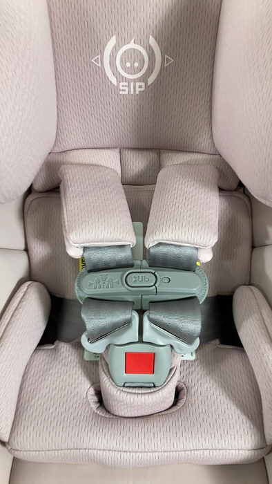 Shop UPPAbaby MESA V2 Infant Car Seat, 2024, Alice (Dusty Pink) at GoodBuy Gear