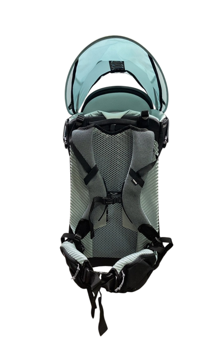 Shop Thule Sapling Child Carrier, Black at GoodBuy Gear