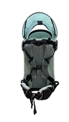 Shop Thule Sapling Child Carrier, Black at GoodBuy Gear