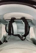 Shop Thule Sapling Child Carrier, Black at GoodBuy Gear