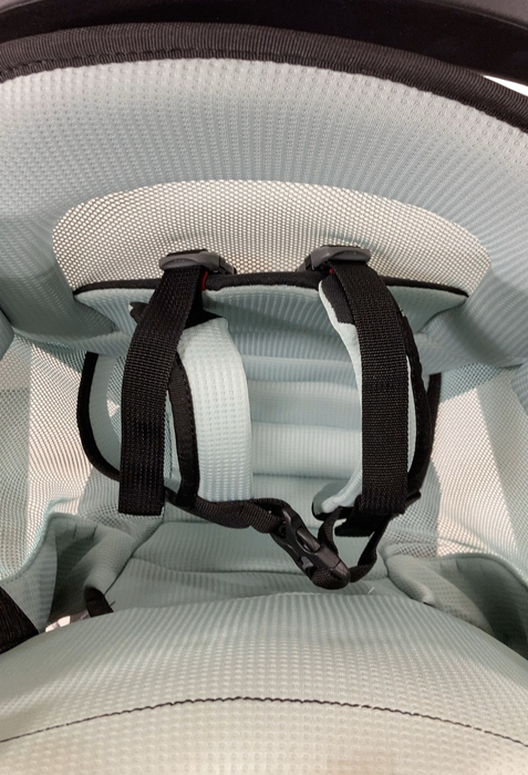 Shop Thule Sapling Child Carrier, Black at GoodBuy Gear