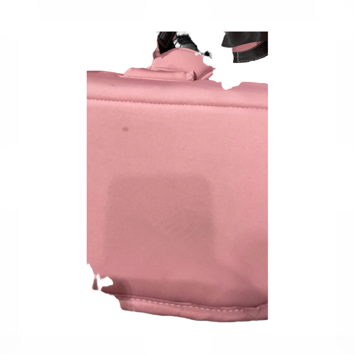 Shop DRAFT - Parent's Choice Lightweight Quick Fold Baby Stroller, 2025, Dusty Rose at GoodBuy Gear