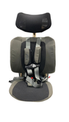 Shop WAYB Pico Portable Car Seat, Earth, 2024 at GoodBuy Gear