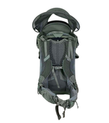Shop Thule Sapling Child Carrier, Agave at GoodBuy Gear