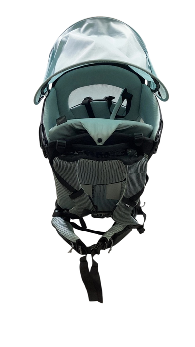 Shop Thule Sapling Child Carrier, Black at GoodBuy Gear