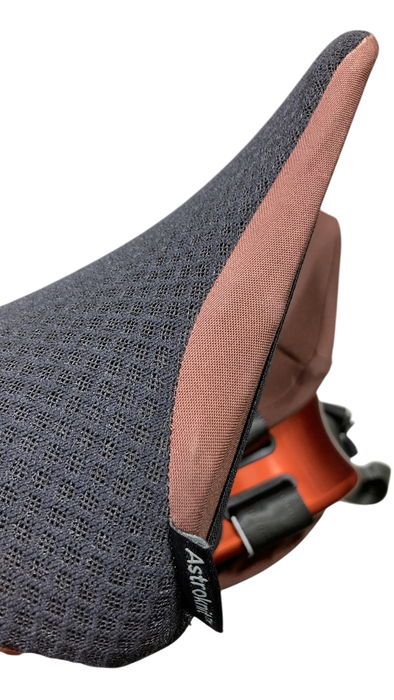Shop WAYB Pico Portable Car Seat, 2023, Golden Hour at GoodBuy Gear