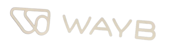 Shop WAYB Pico Portable Car Seat, 2024, Midnight Sky at GoodBuy Gear