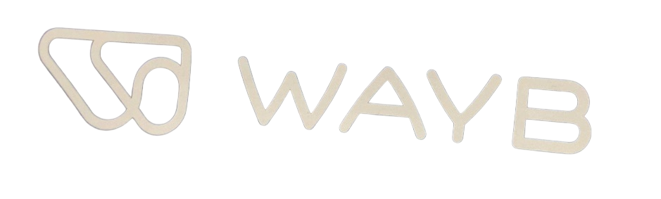 Shop WAYB Pico Portable Car Seat, 2024, Midnight Sky at GoodBuy Gear