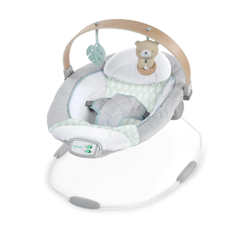 Shop Ingenuity Cozy Spot Swing n Go Portable Swing, Nate at GoodBuy Gear