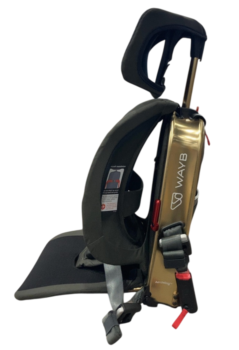 Shop WAYB Pico Portable Car Seat, 2024, Earth at GoodBuy Gear