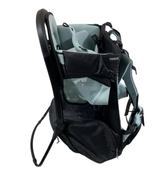 Shop Thule Sapling Child Carrier, Alaska Blue at GoodBuy Gear