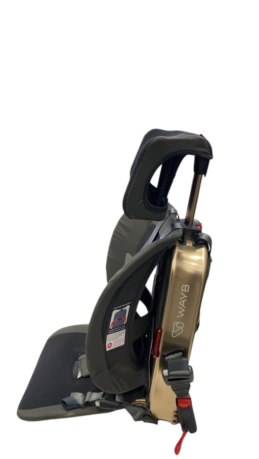 Shop WAYB Pico Portable Car Seat, 2023, Earth at GoodBuy Gear