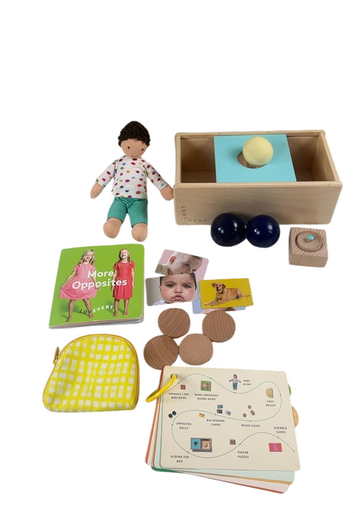 Shop Lovevery The Thinker Play Kit at GoodBuy Gear