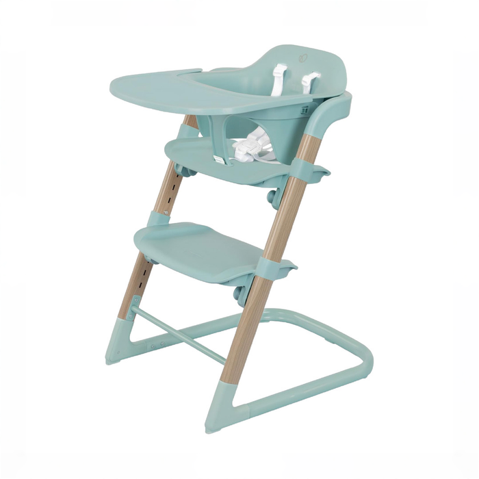 Shop Evenflo RightSeat Multistage High Chair, Sage at GoodBuy Gear