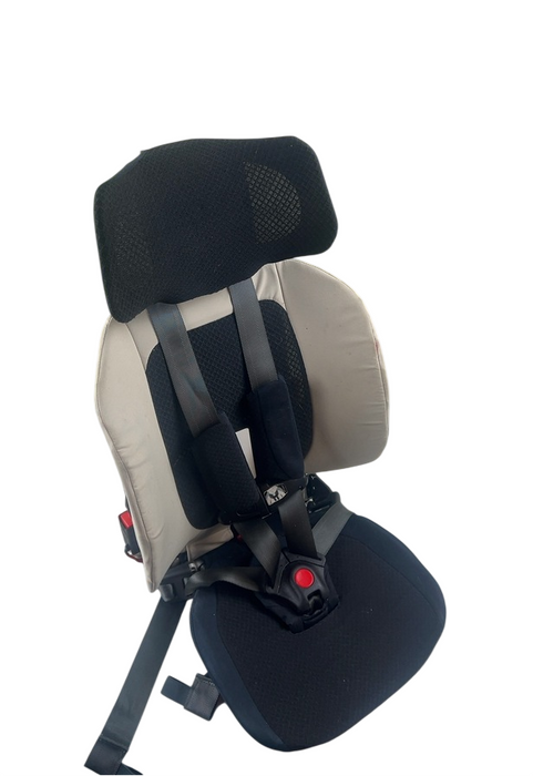 Shop WAYB Pico Portable Car Seat, 2023, Stardust at GoodBuy Gear