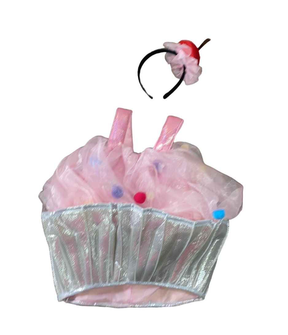 Pottery Barn Kids Light Up Cupcake Costume, 3T