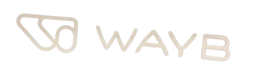 Shop WAYB Pico Portable Car Seat, 2022, Midnight Sky at GoodBuy Gear