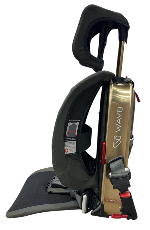 Shop WAYB Pico Portable Car Seat, 2024, Earth at GoodBuy Gear