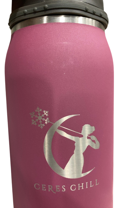 Shop Ceres Chill Legacy Breastmilk Chiller (32oz), Plum at GoodBuy Gear