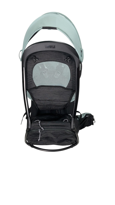Shop Thule Sapling Child Carrier, Alaska Blue at GoodBuy Gear