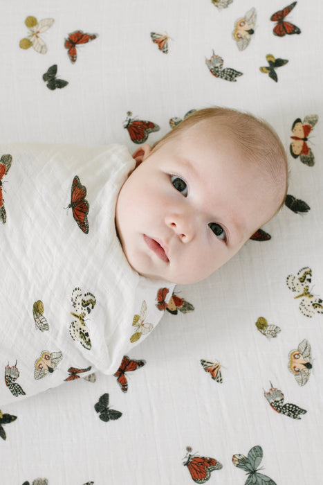 Shop Clementine Kids Butterfly Migration Crib Sheet at GoodBuy Gear