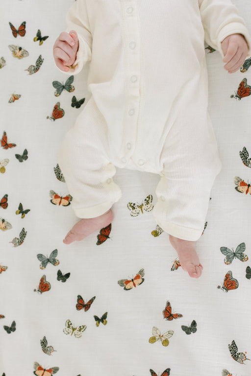 Shop Clementine Kids Butterfly Migration Crib Sheet at GoodBuy Gear