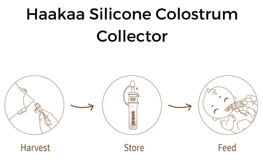Shop Haakaa Silicone Colostrum Collector Set 4 ml, 6 PK (Pre-Sterilized) at GoodBuy Gear