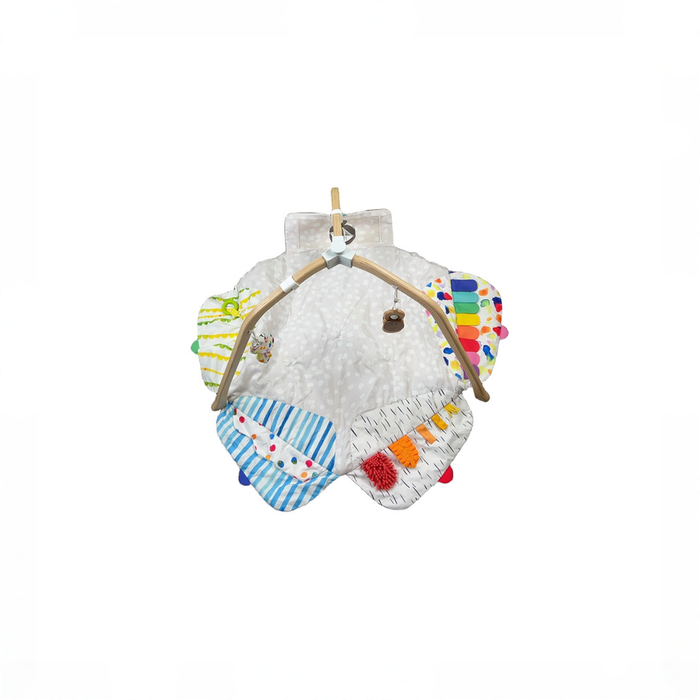 Shop Lovevery The Play Gym, Multi-Color at GoodBuy Gear