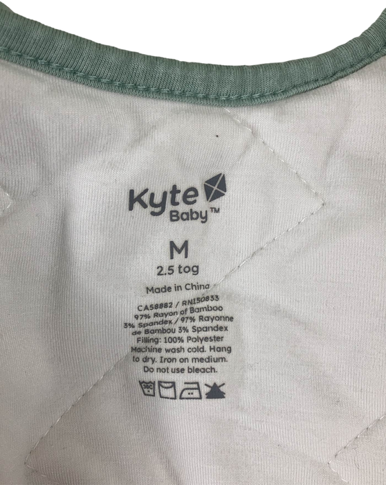Shop Kyte Baby Sleep Bag 2.5, Medium(18-30 pounds), Sage at GoodBuy Gear