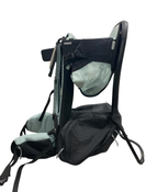 Shop Thule Sapling Child Carrier, Alaska Blue at GoodBuy Gear