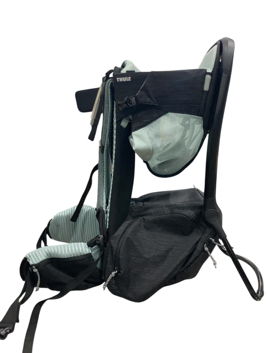 Shop Thule Sapling Child Carrier, Alaska Blue at GoodBuy Gear