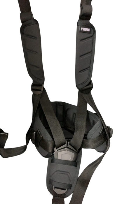 Shop Thule Chariot Sport 1, 2022, Midnight Black on Black at GoodBuy Gear