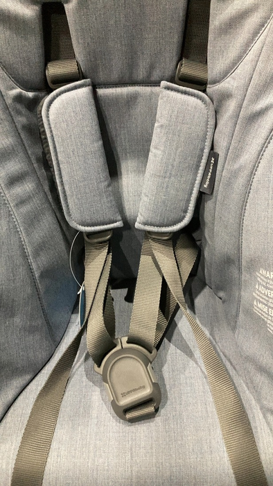 Shop UPPAbaby RumbleSeat V3, 2024, Paige (Pinstripe) at GoodBuy Gear