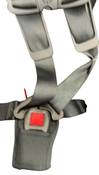 Shop Britax Grow With You ClickTight + Harness-2-Booster, 2024, Black Contour at GoodBuy Gear