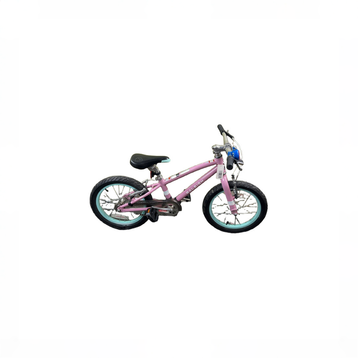 Shop Raleigh Lily 16" Kid's Bike, Pink at GoodBuy Gear