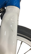 Shop Woom GO 1 Balance Bike, Metallic Blue at GoodBuy Gear