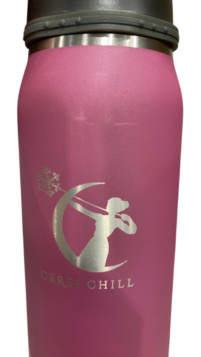 Shop Ceres Chill Legacy Breastmilk Chiller (32oz), Plum at GoodBuy Gear