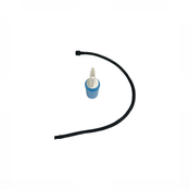 no bg image