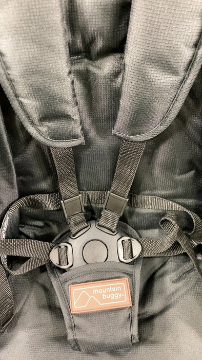 Shop Mountain Buggy Nano Duo Stroller, 2024, Black at GoodBuy Gear